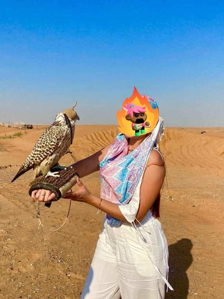 Falcon
