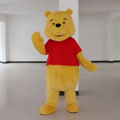 Winnie the Pooh Costume