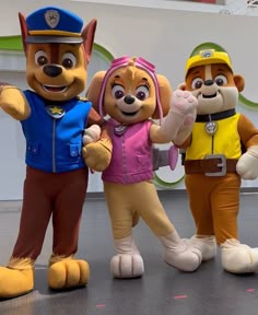 Paw Patrol Character Costumes