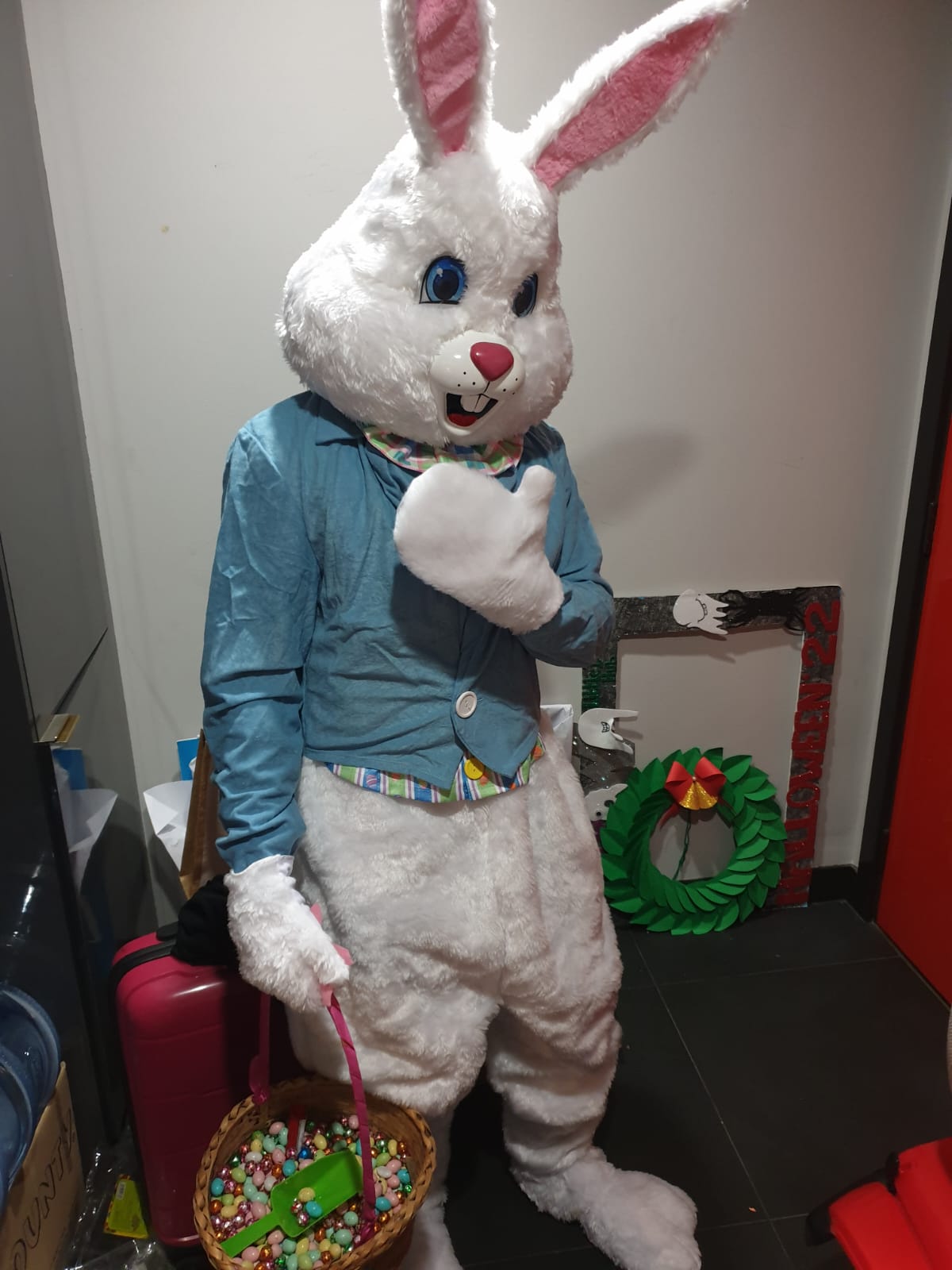 Easter Bunny Costume