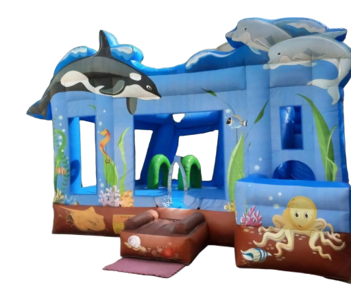Dolphin Under sea Bouncy and Slide 