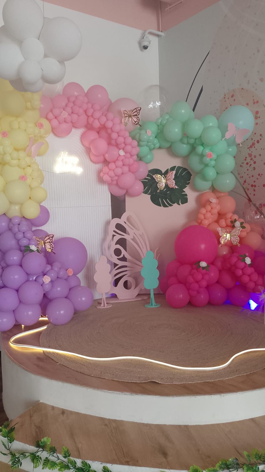 Butterfly  Theme Balloon Decoration