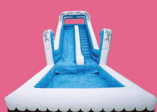 Dolphin Water Slide 
