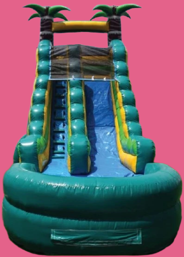 Palm Tree Water Slide With Pool
