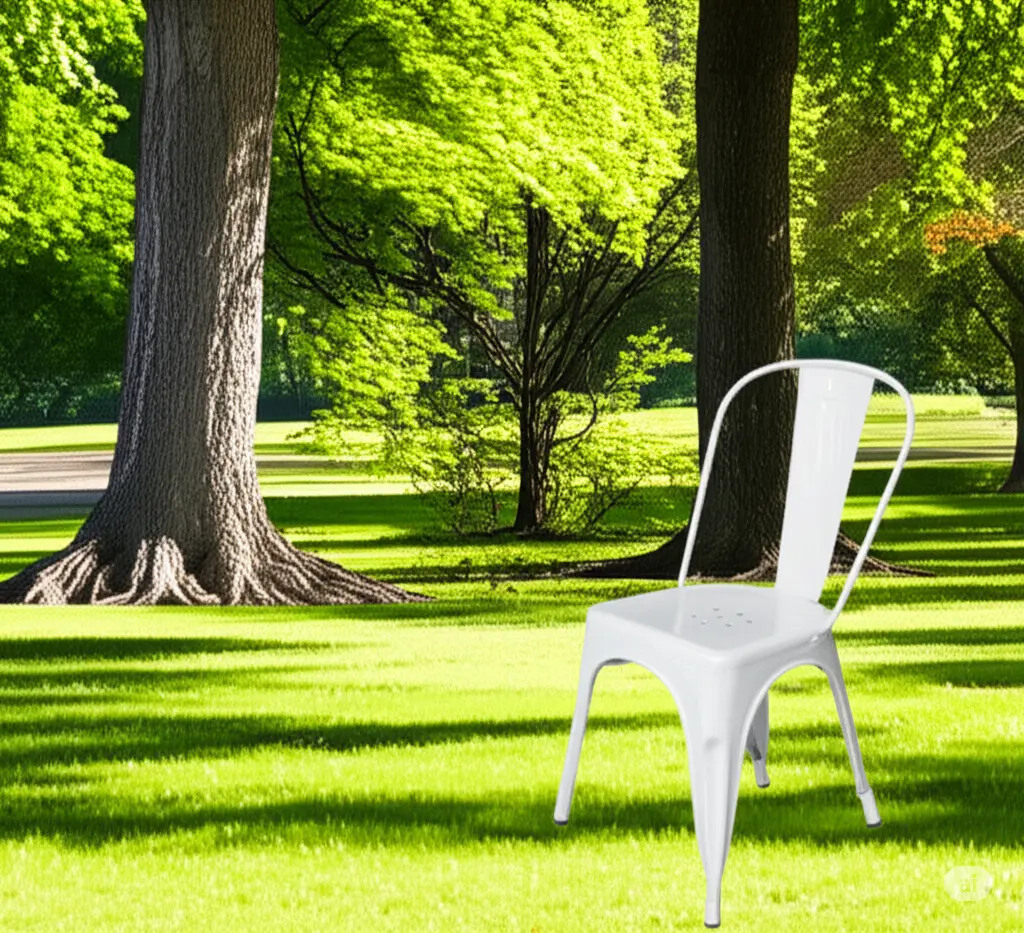 Rent Pauchard Chair