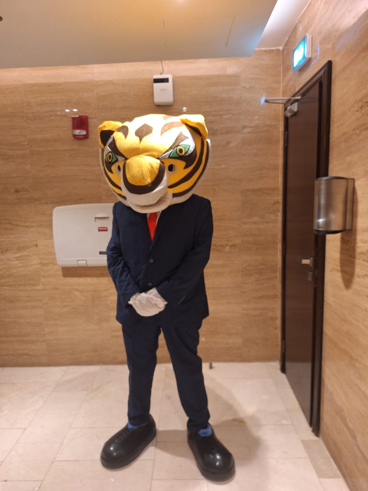 Tiger Mascot