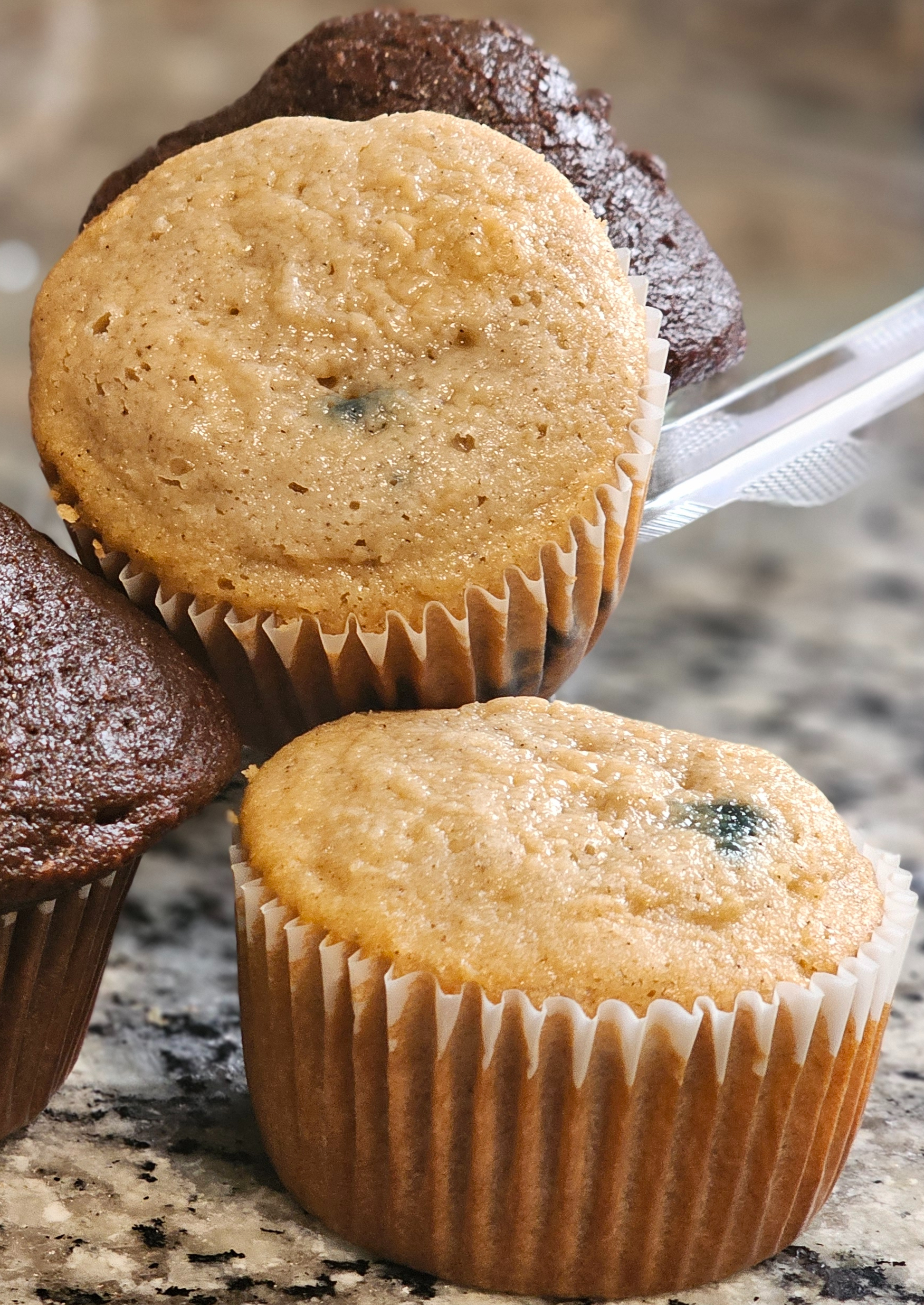 Blueberry Oatmeal Muffins
