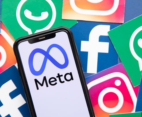Meta Verification