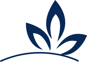 "der Weg zu mehr Gesundheit Paket"