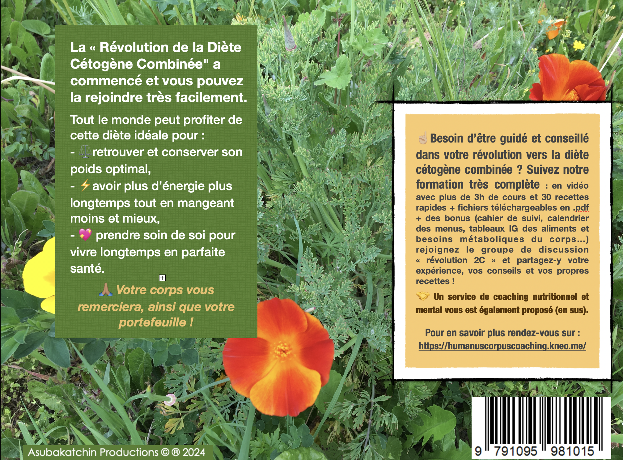 Révolution de la Diète Cétogène Combinée