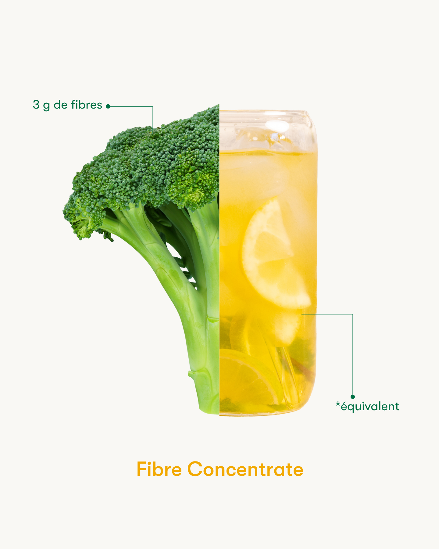 Fibre Concentrate