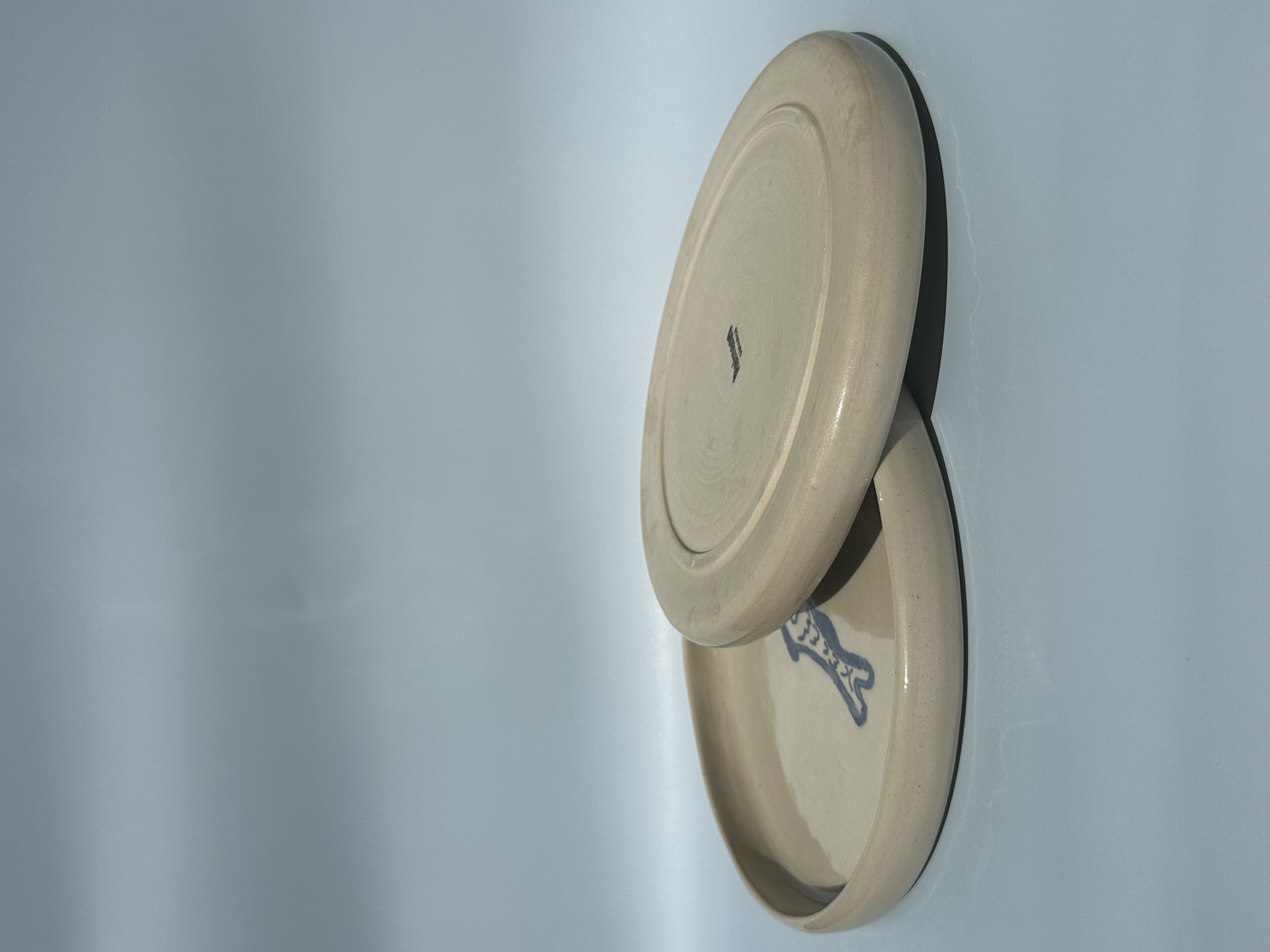 Teller mit Fischlogo