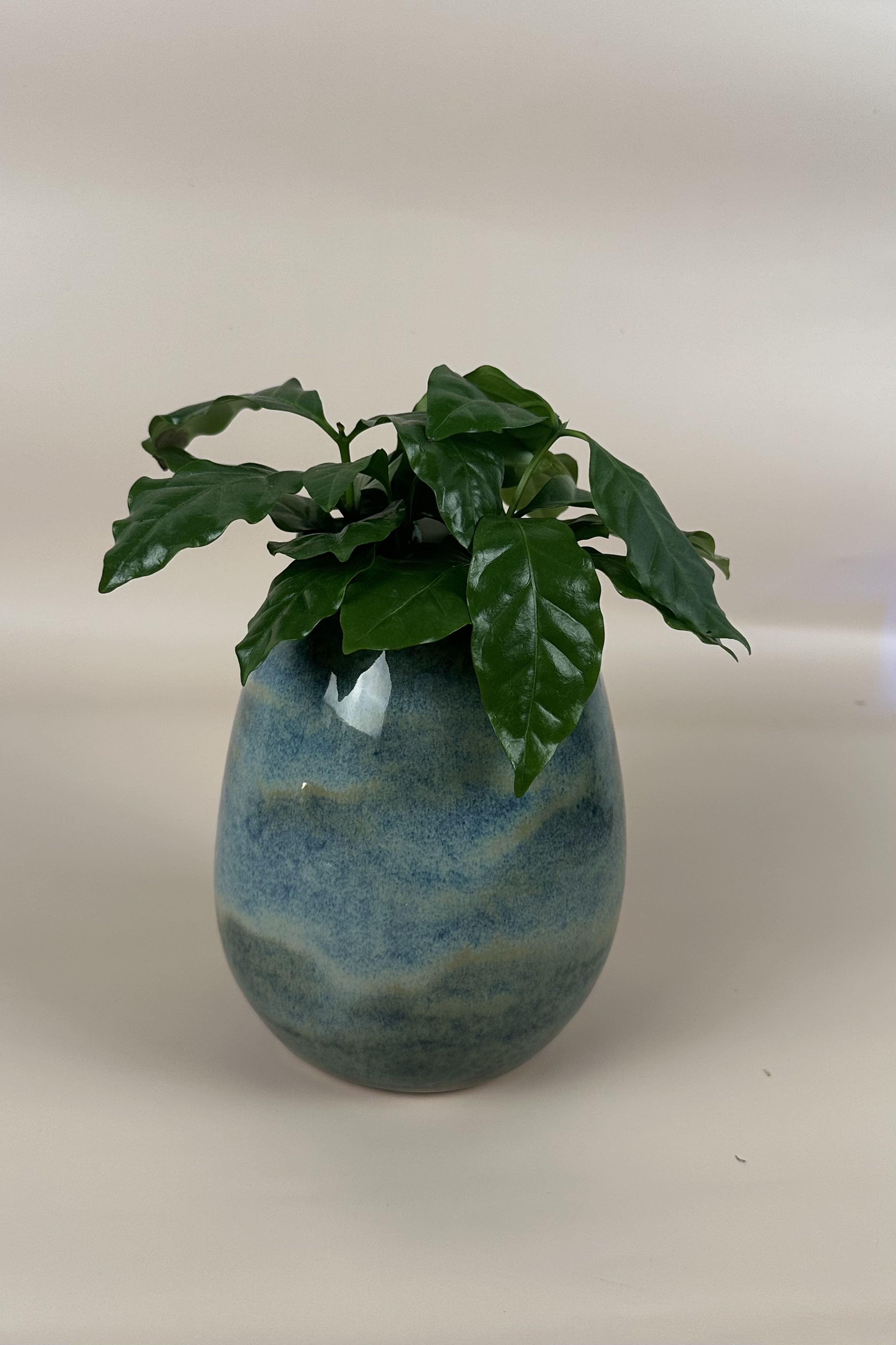 Aqua Vase