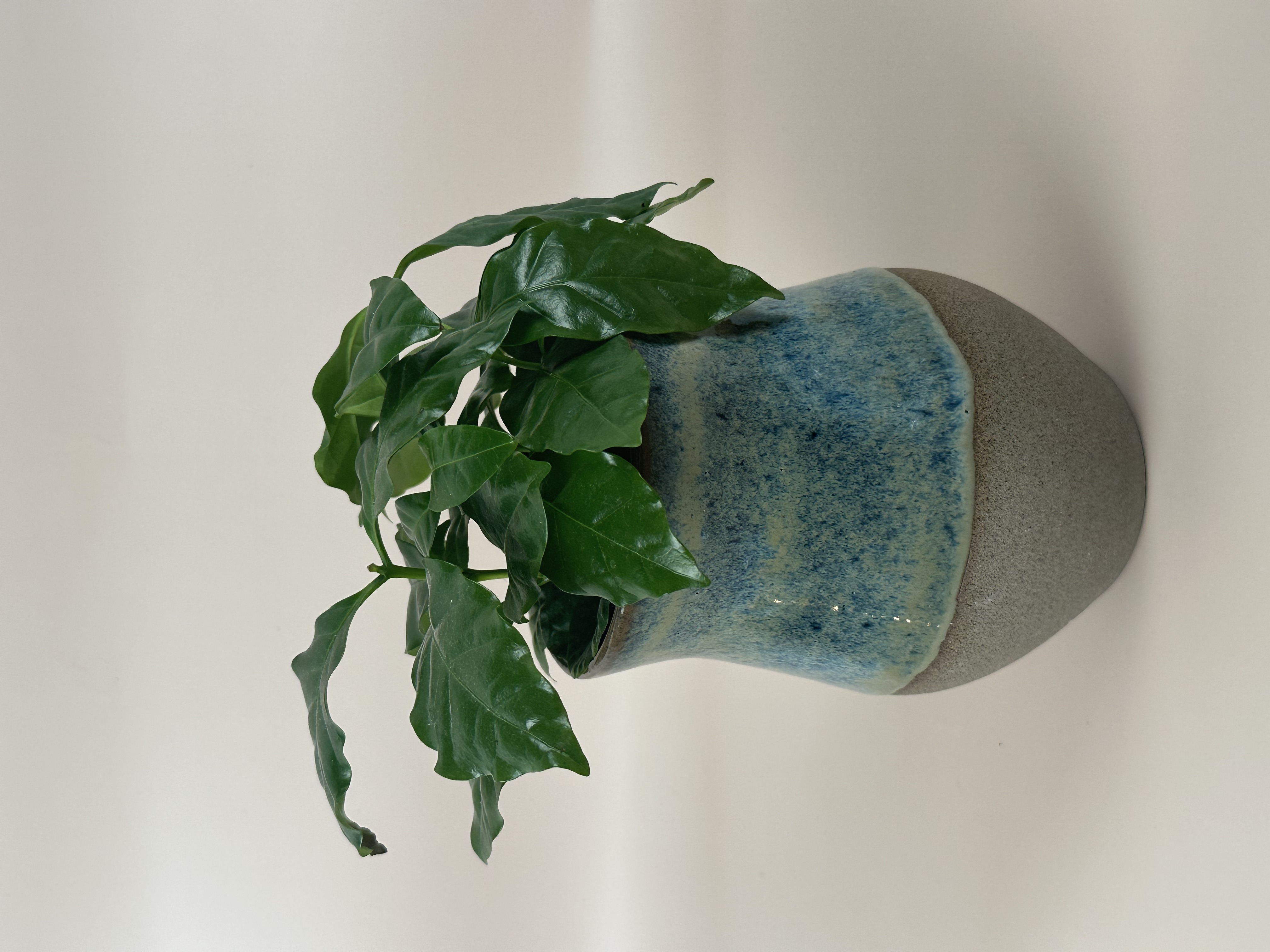 Azure Vase