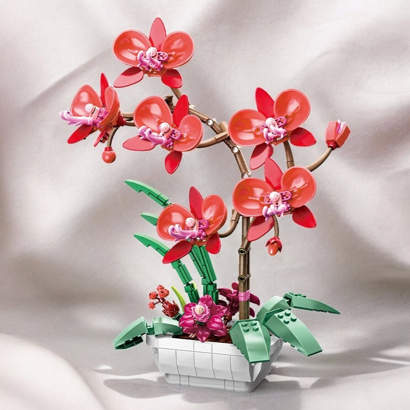 Spalvingos orchidėjos