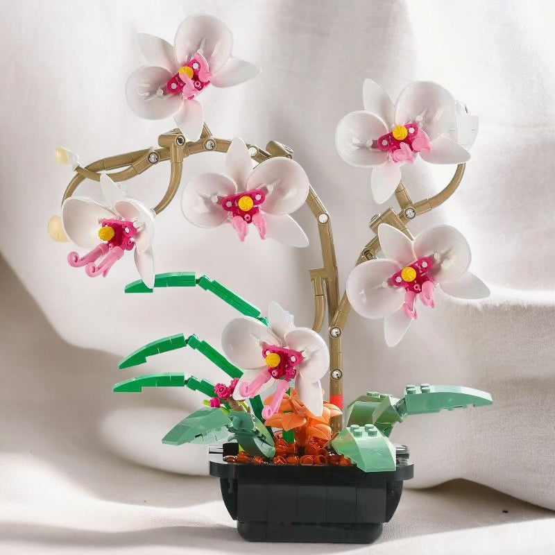 Spalvingos orchidėjos