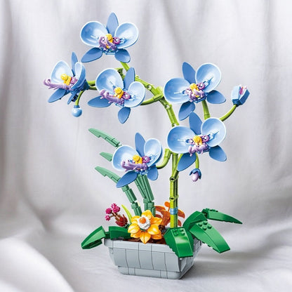 Spalvingos orchidėjos