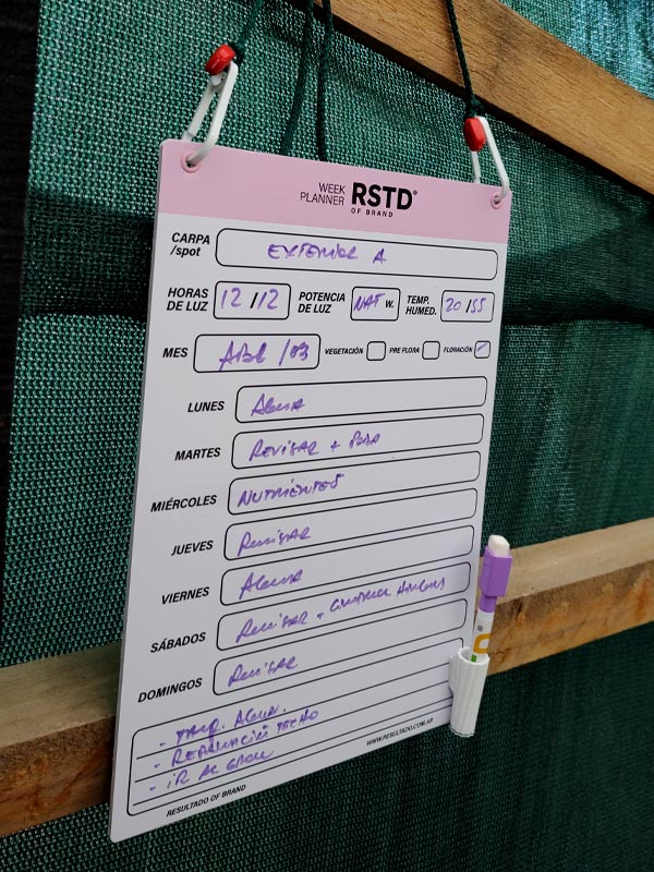 Week Planner