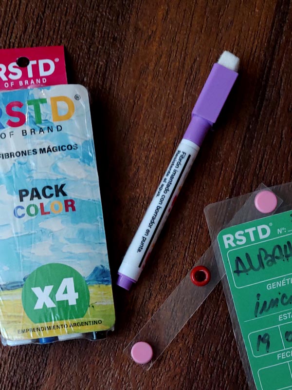 Pack Fibrones Mágicos