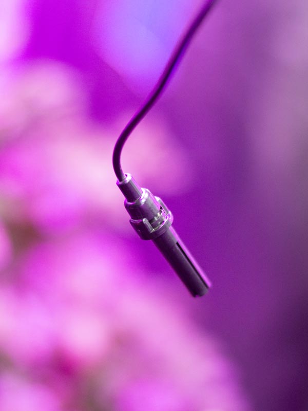 Display Temperatura y Humedad