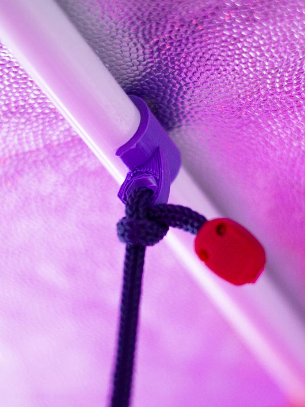 Big Catcher Amarillo