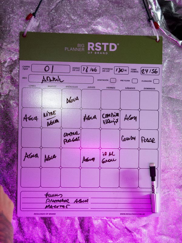 Big Planner