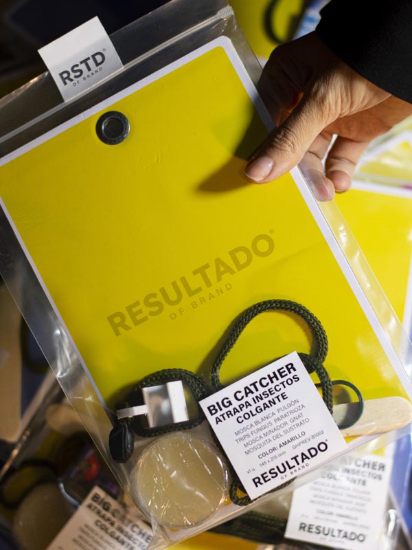 Big Catcher Amarillo