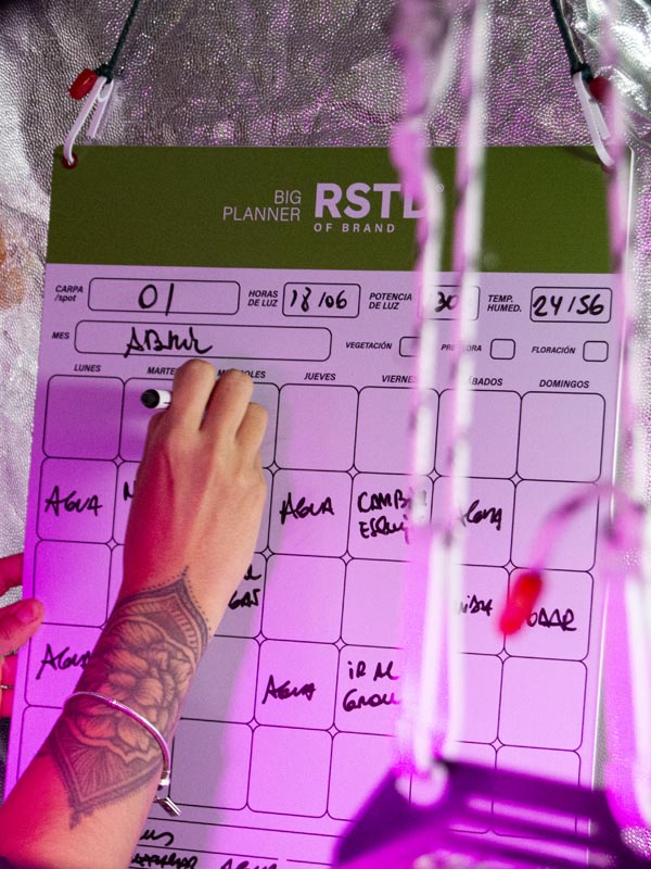 Big Planner