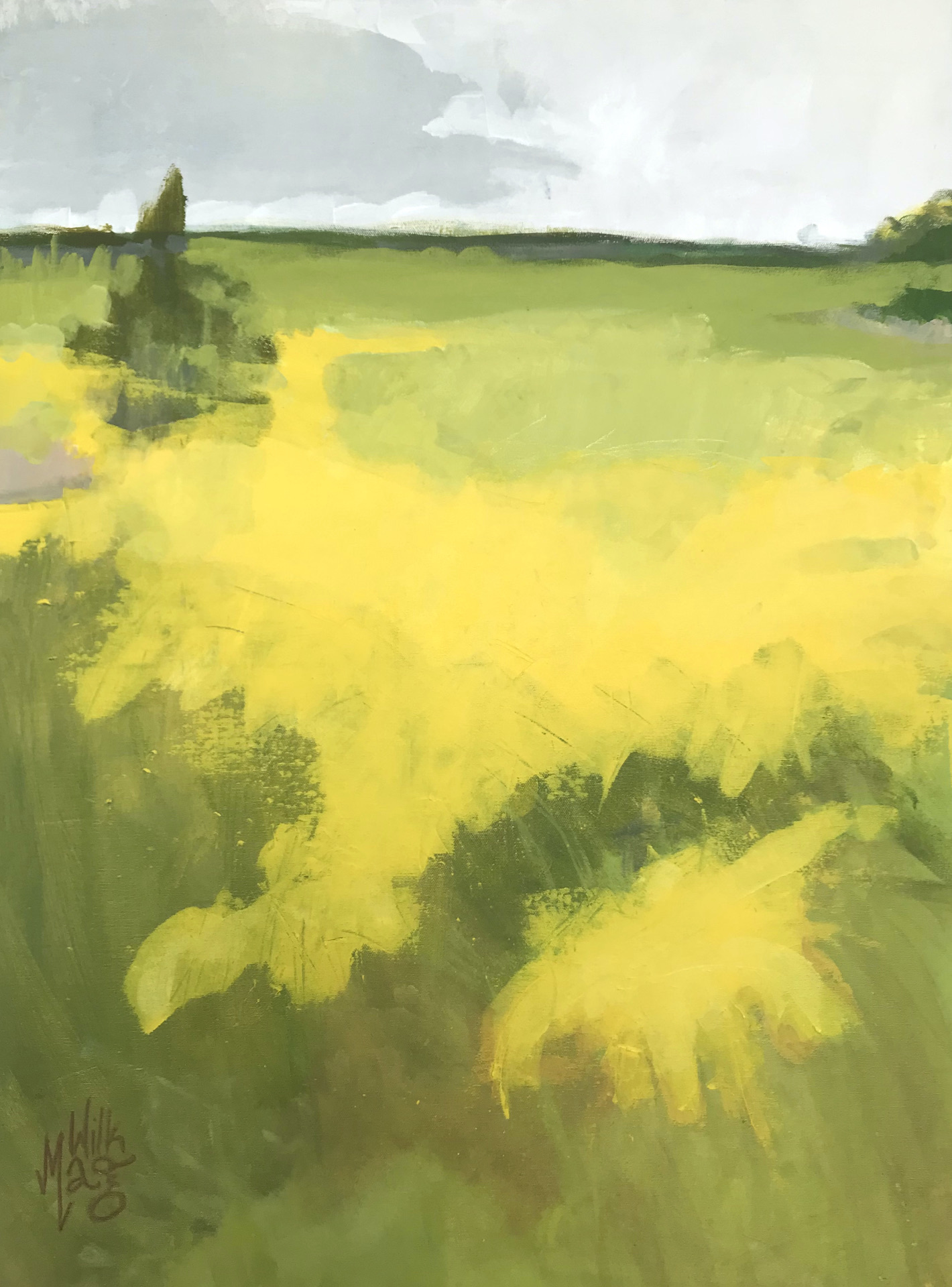 Żółta łąka /Yellow Meadow