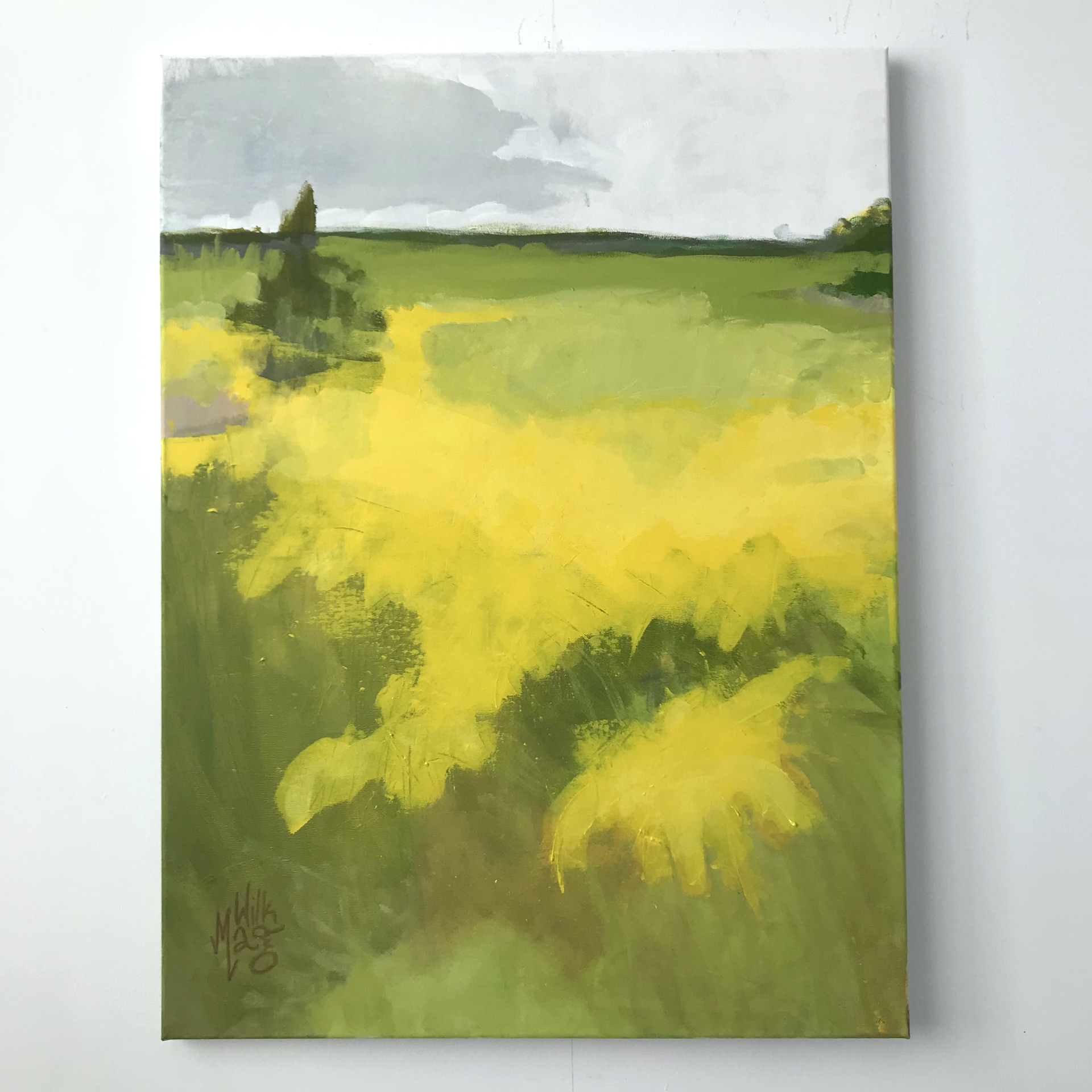 Żółta łąka /Yellow Meadow