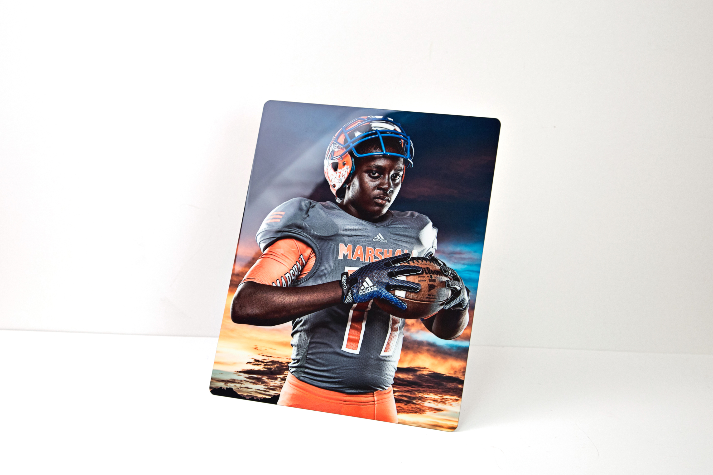 Metal Display Print
