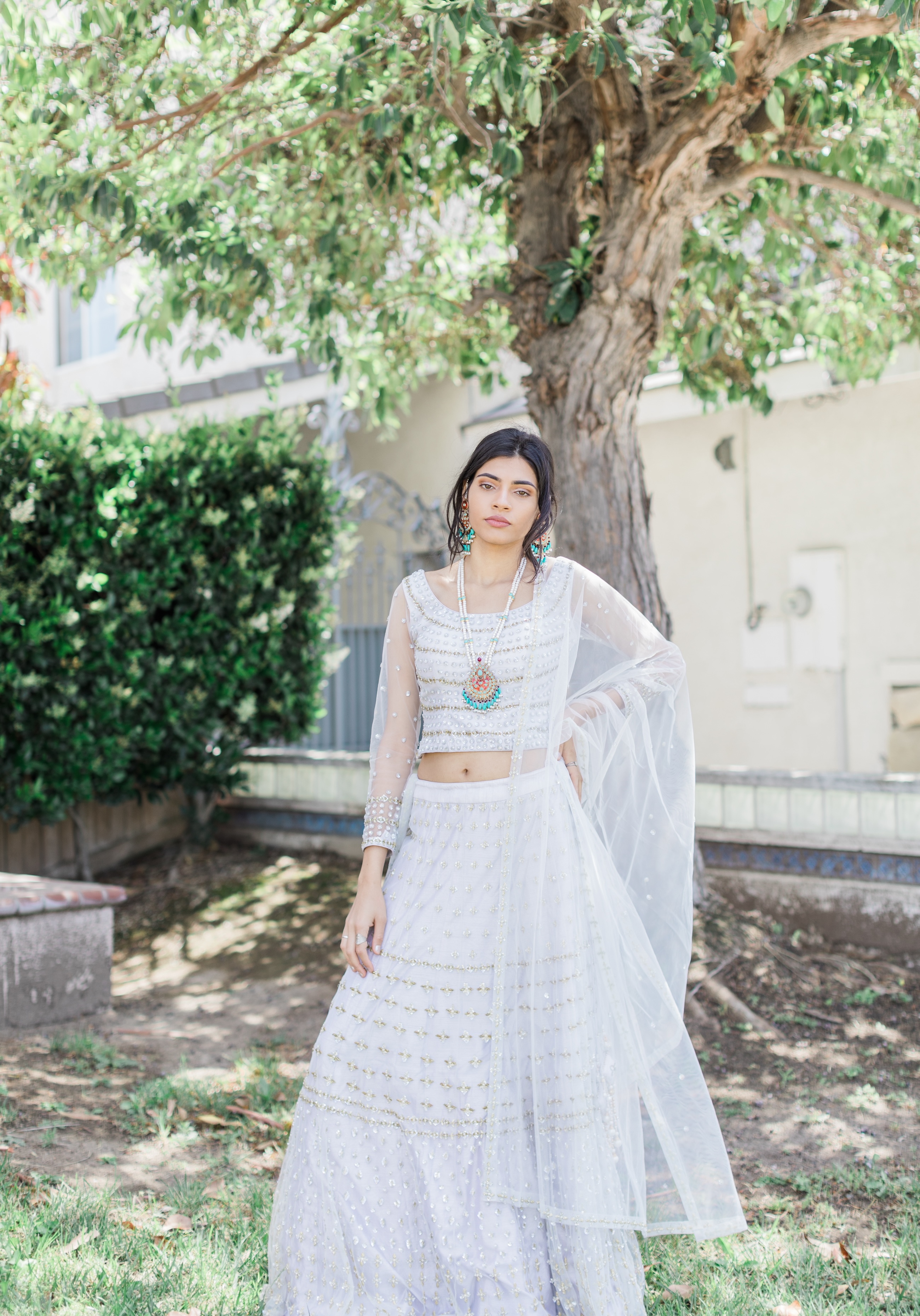 Araya Lehnga