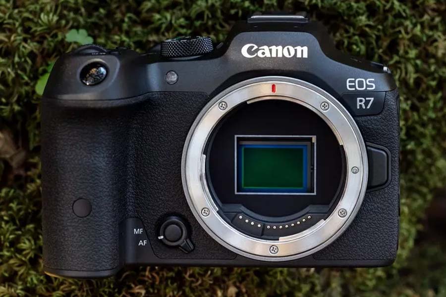 Canon Camera EOS R7