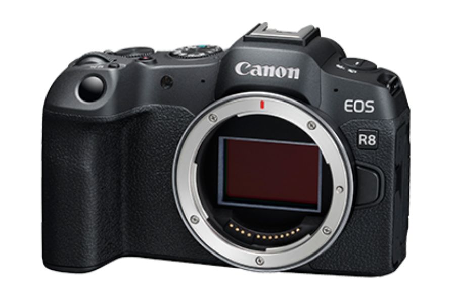 Canon  Camera EOS R8
