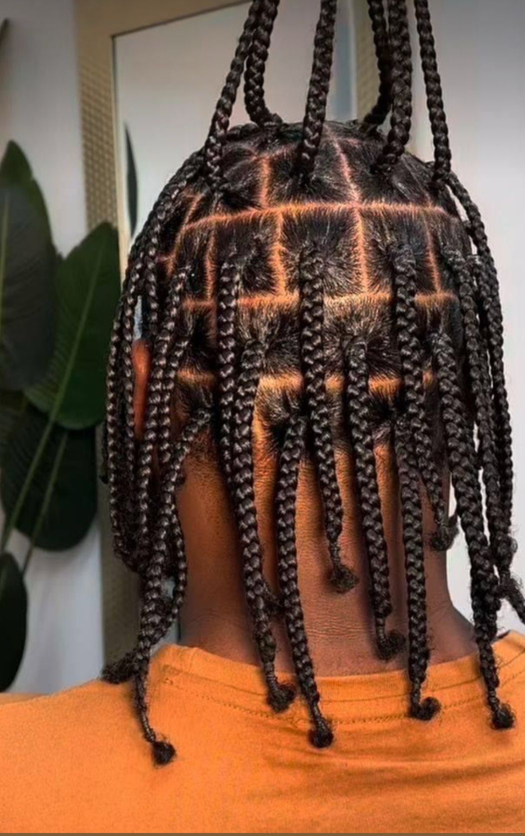 Men braids