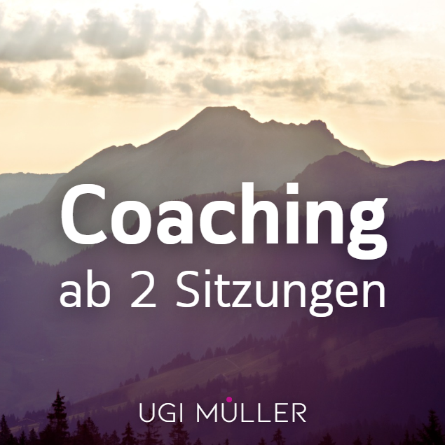 Coaching: Ab 2 Sitzungen ...