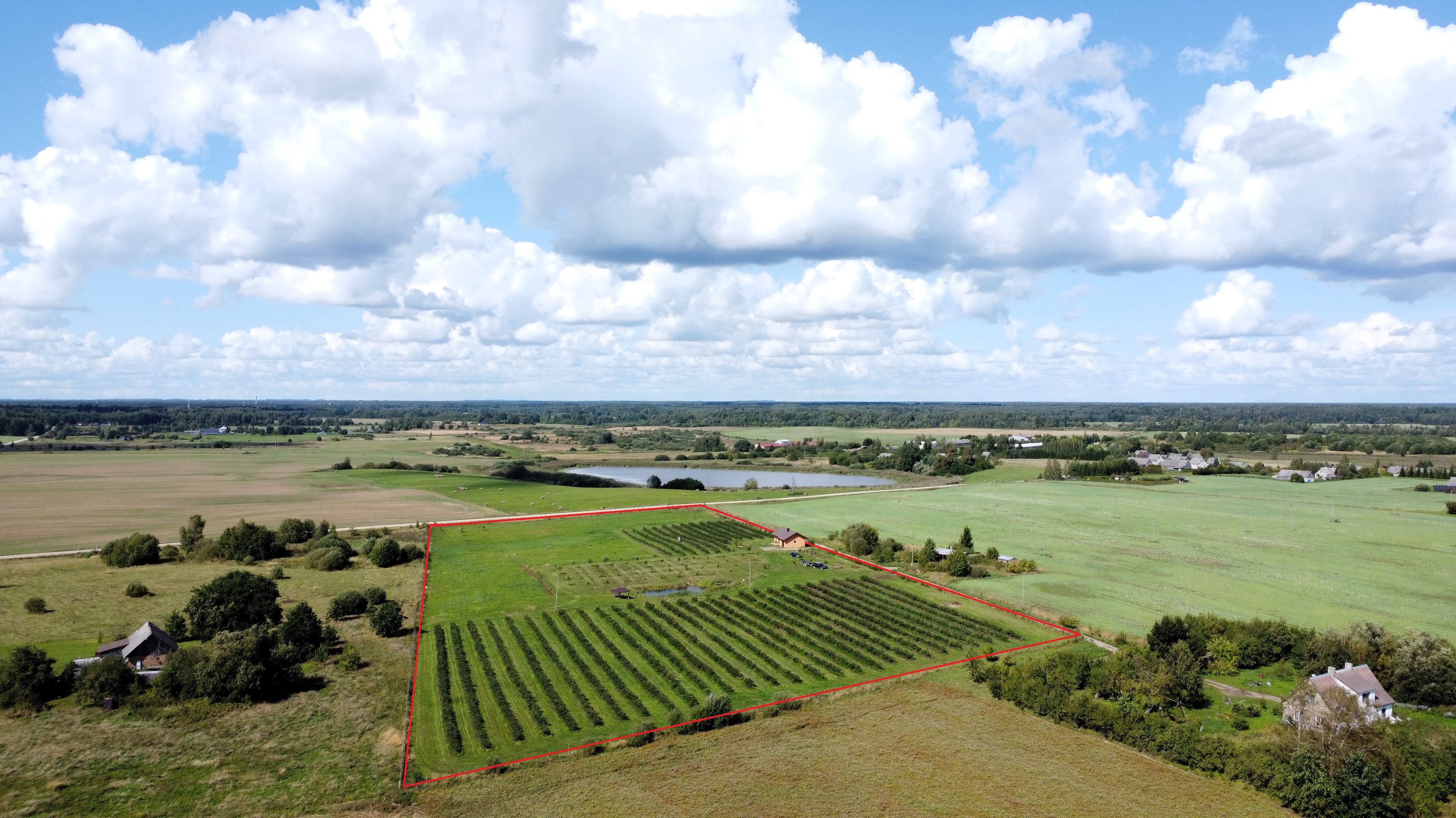 PARDUODAMAS ŠILAUOGIŲ ŪKIS - KAIŠIADORIŲ R., RADASTŲ G.