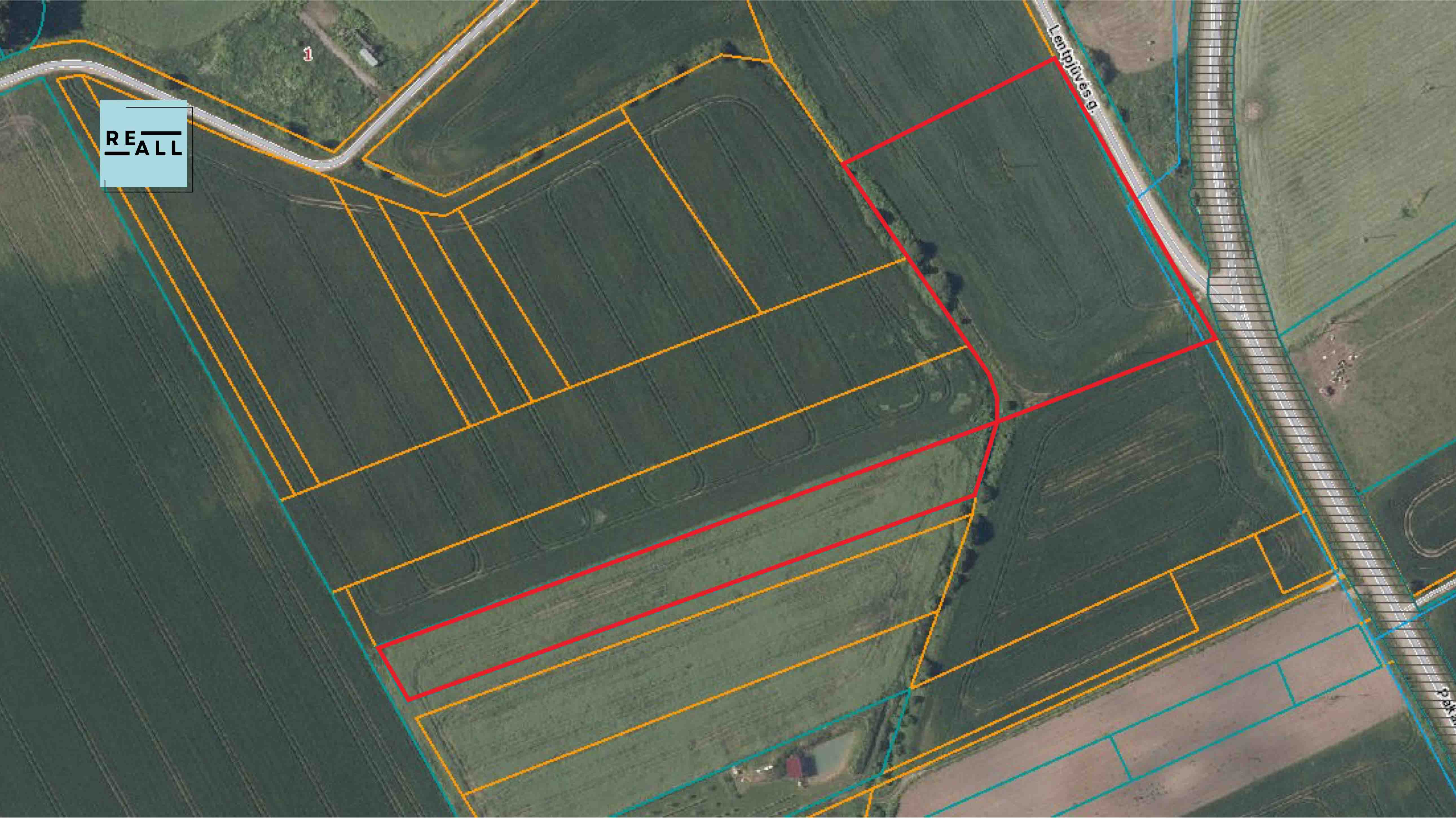 PARDUODAMI 1,61HA ŪKIO PASKIRTIES SKLYPAI - DIDŽIŪJŲ LAPIŲ K.,