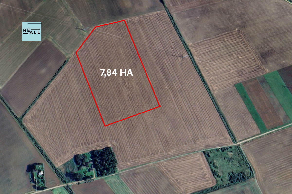 PARDUODAMAS 7,4HA ŽEMĖS ŪKIO PASKIRTIES SKLYPAS ŠAKIŲ R.