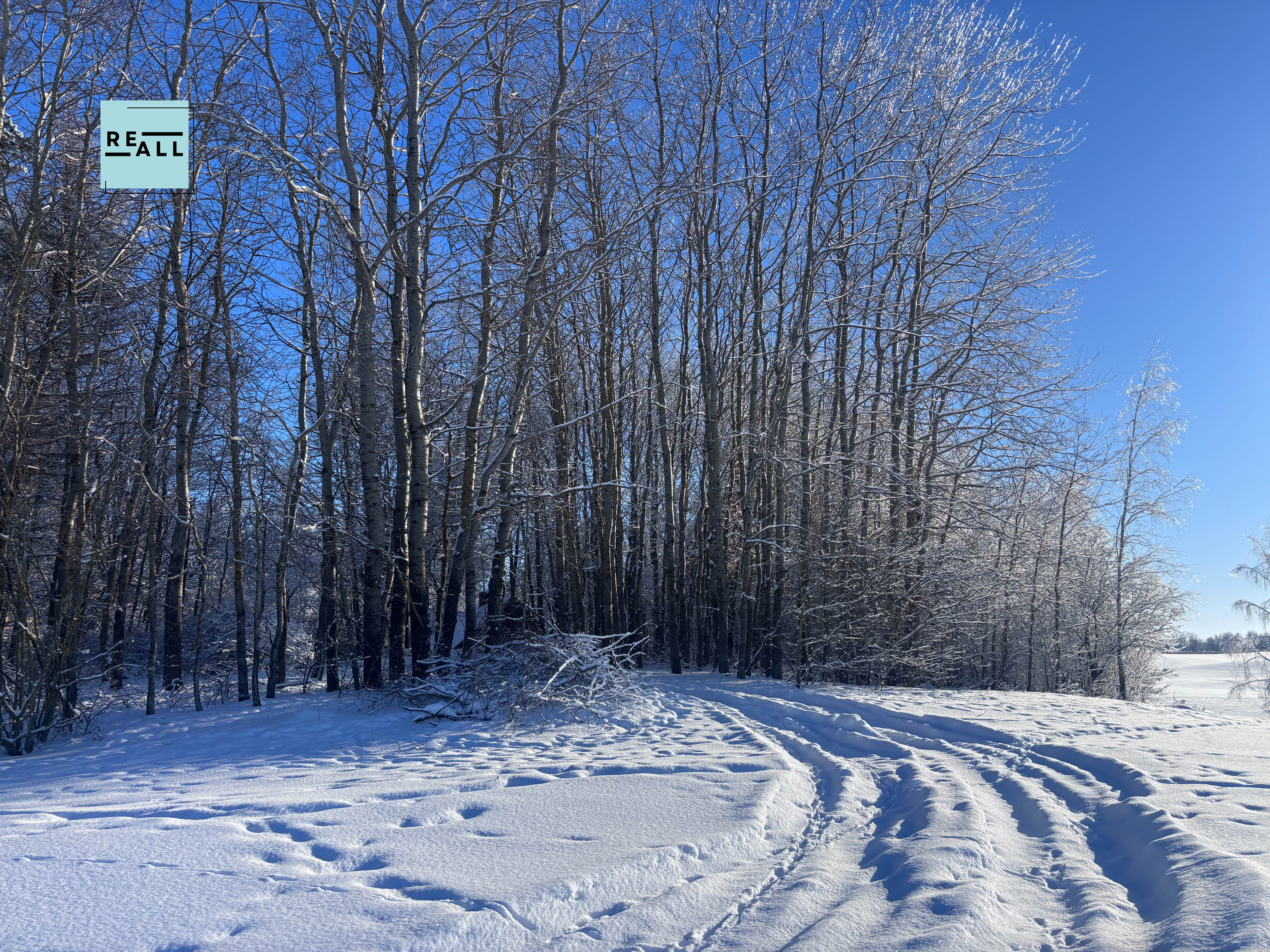 PARDUODAMAS APLEISTAS NAMAS PRIENŲ R.
