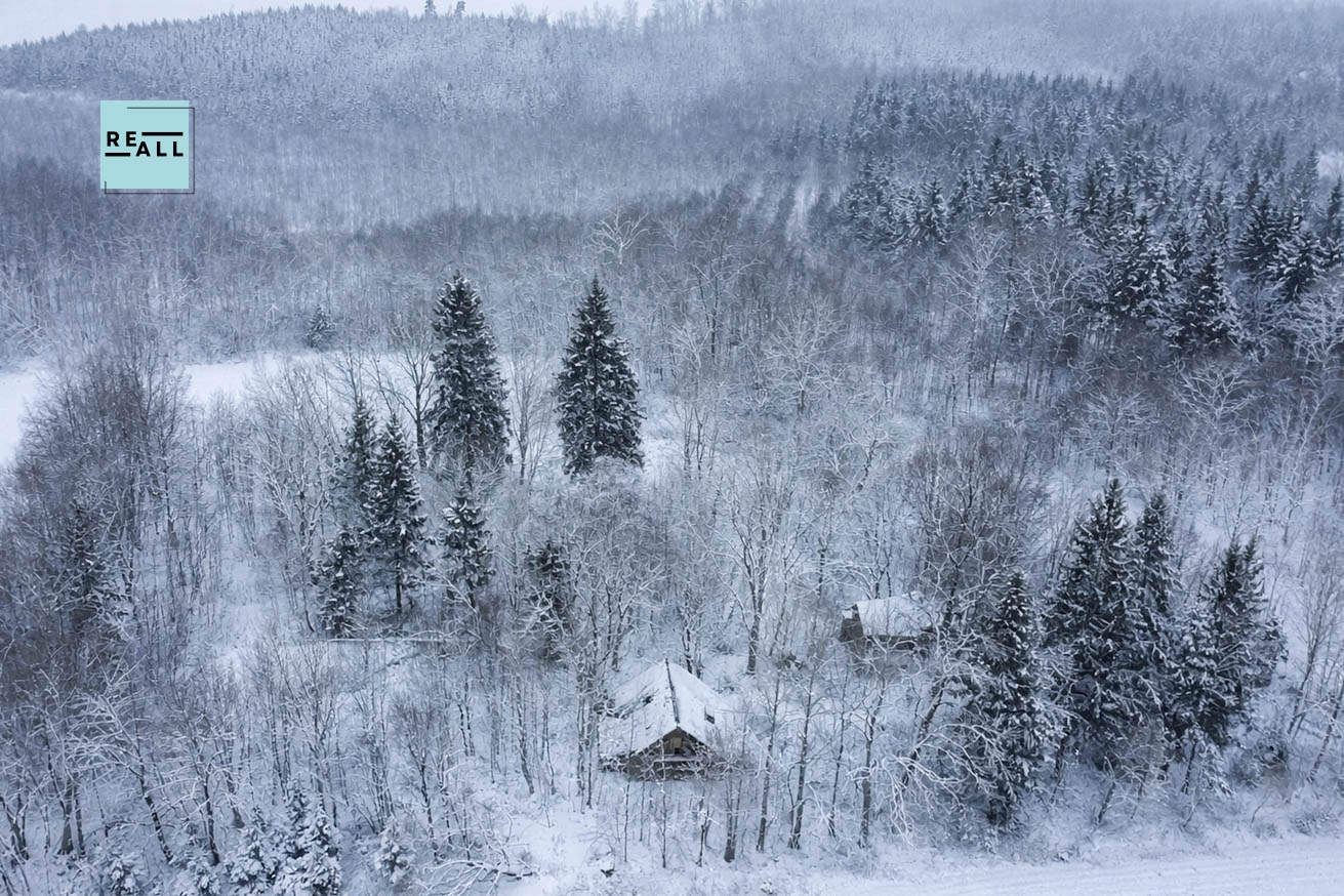 PARDUODAMAS 80A NAMŲ VALDOS SKLYPAS ZARASŲ R.