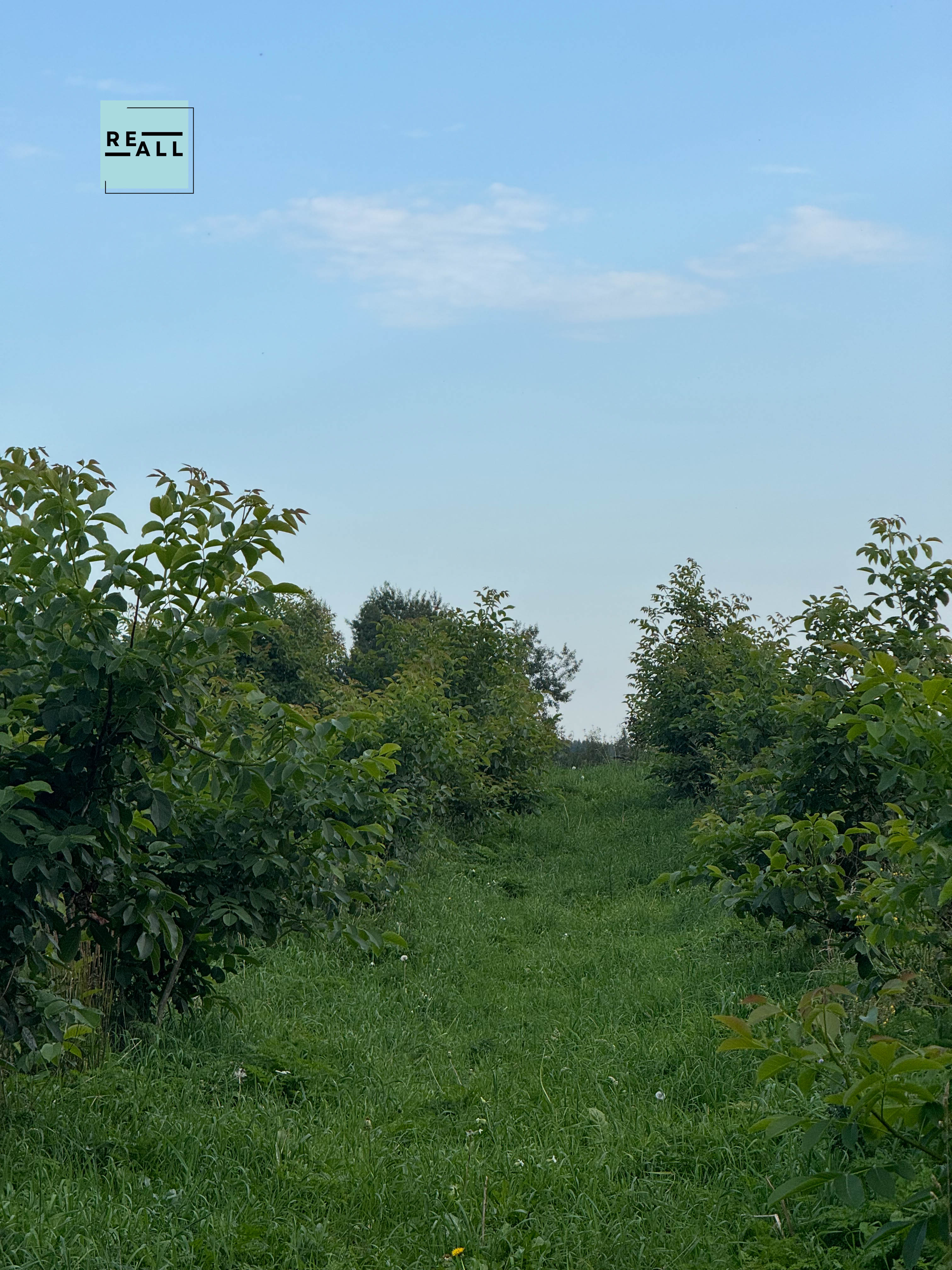 PARDUODAMAS 24,35HA ŽEMĖS ŪKIOS PASKIRTIES SKLYPAS VILNIAUS R.