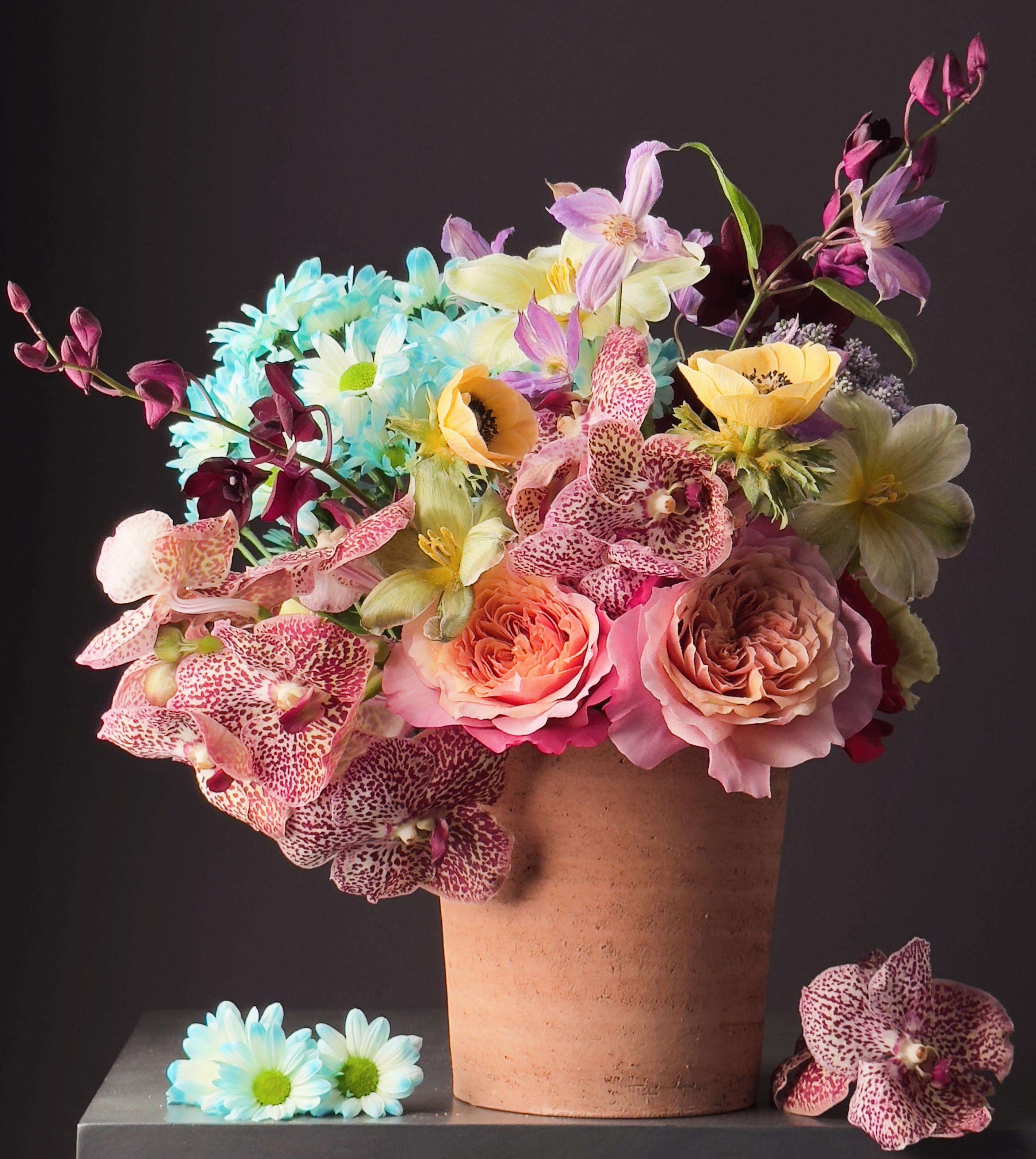 Its going to be a good day