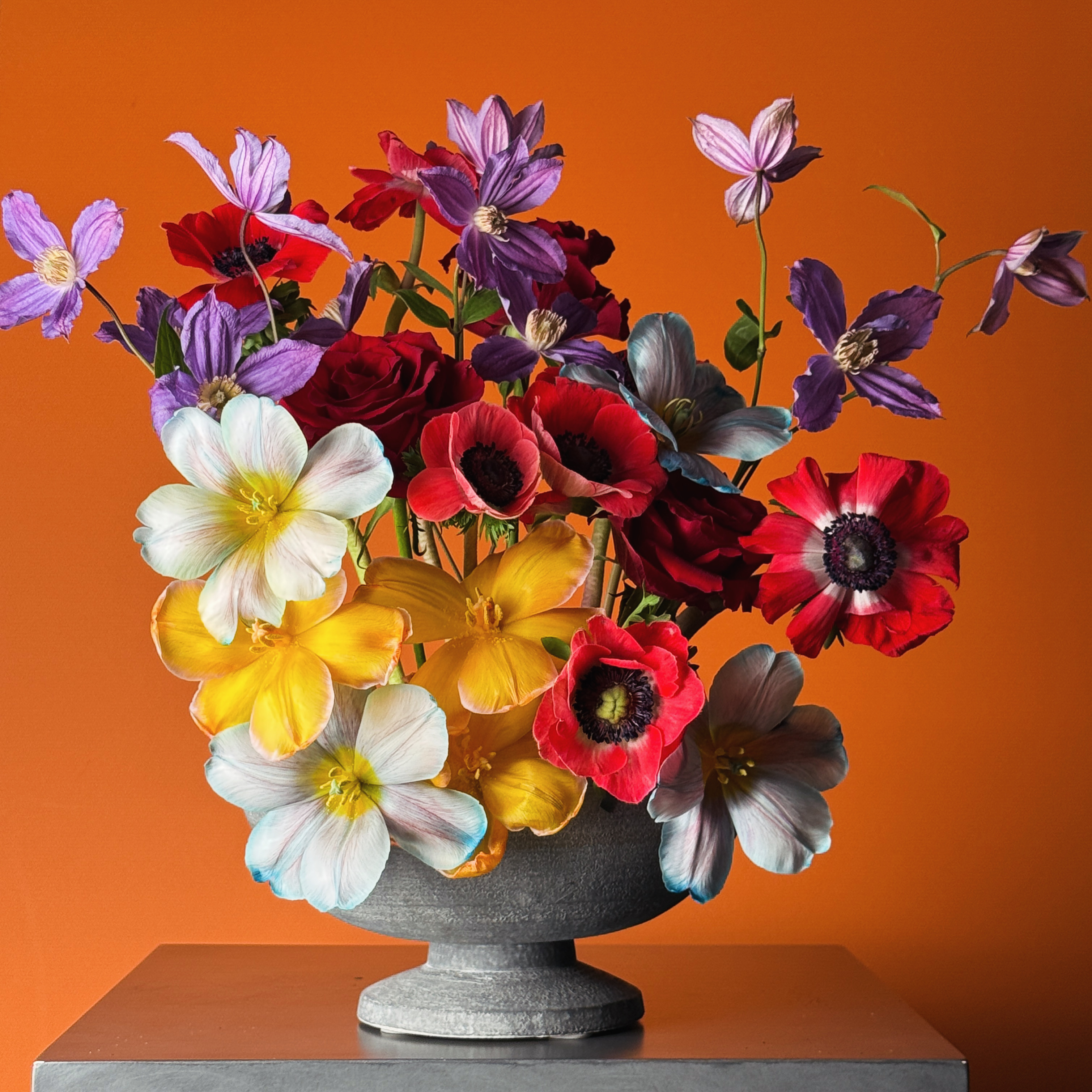 Valentine's Day Collection (Love Language )