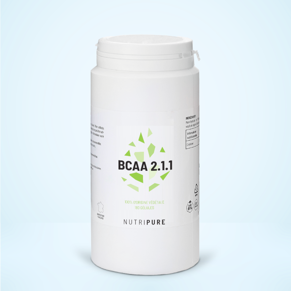 BCAA 2.1.1 – Dakar