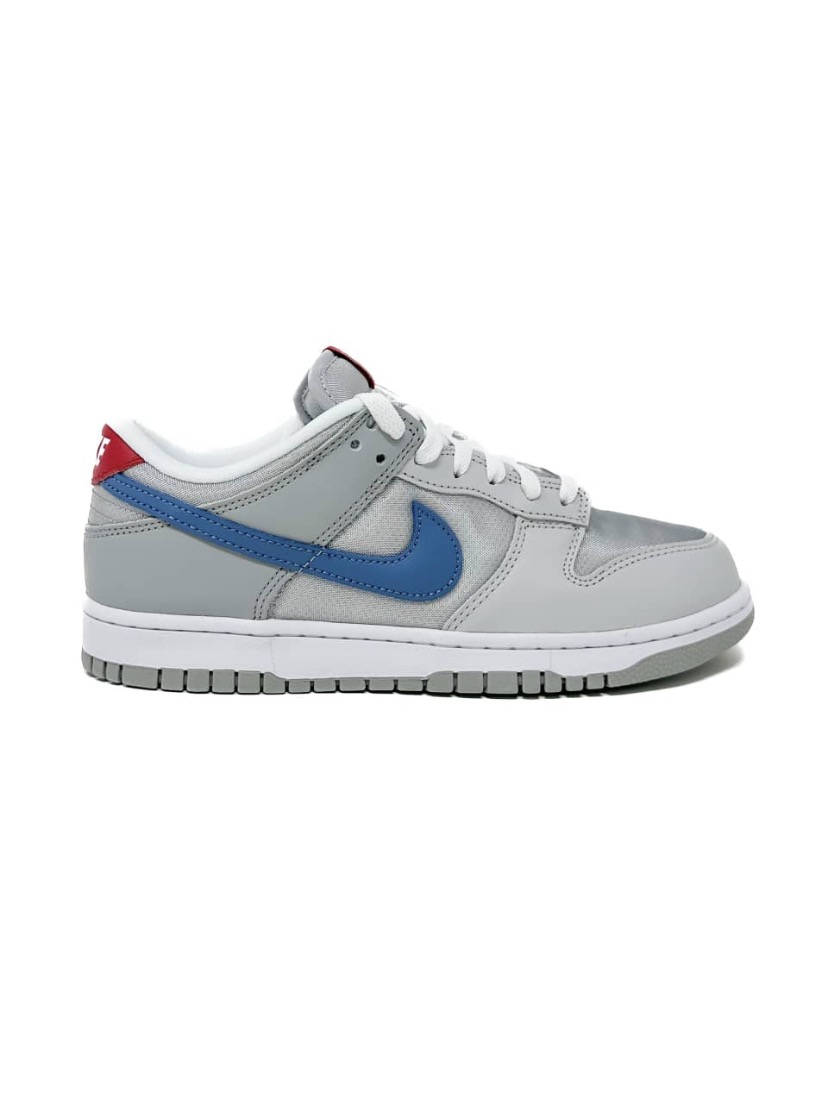 Nike Dunk Low "Silver Surfer" (2024)
