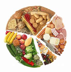 Balanced- Food Workout