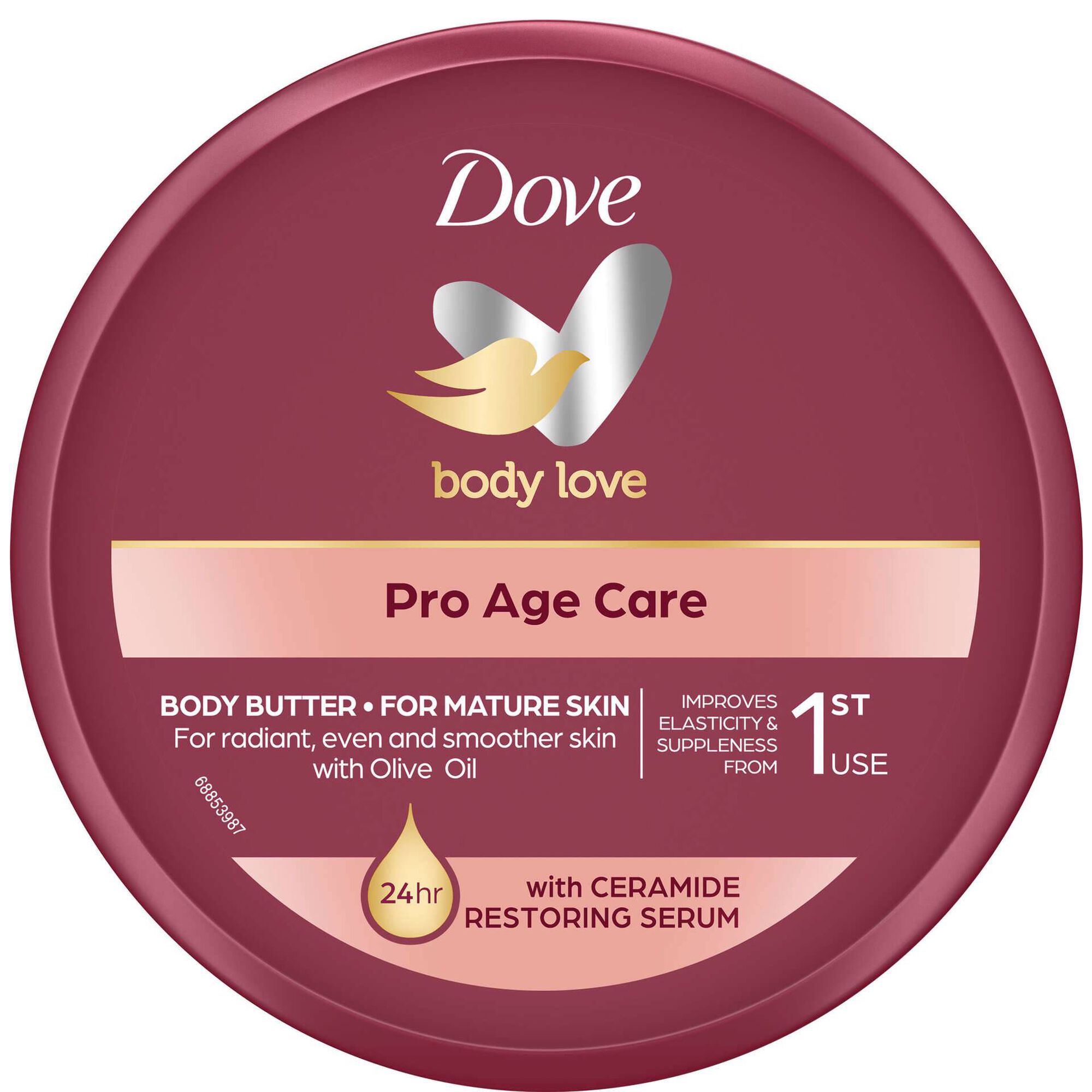 Creme Corporal Pro Age Care Peles Maduras Dove emb. 250 ml