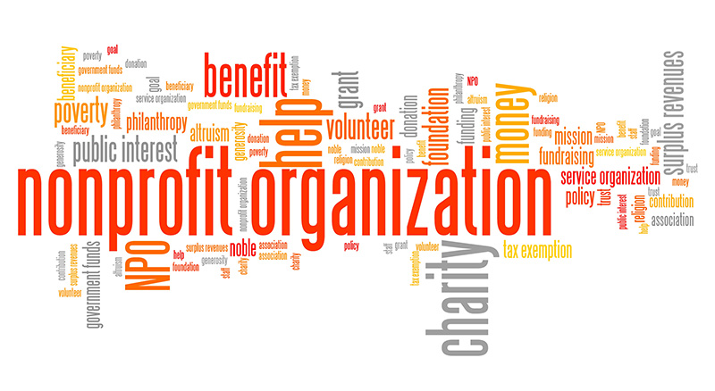 CONSULTING: NON PROFIT/NOT FOR PROFIT SERVICES Initial Consultation