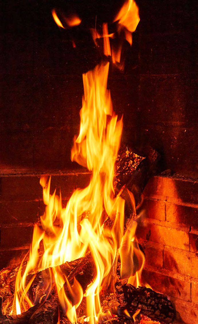 ESTUFA DE LEÑA CON HORNO L1 AMARSA